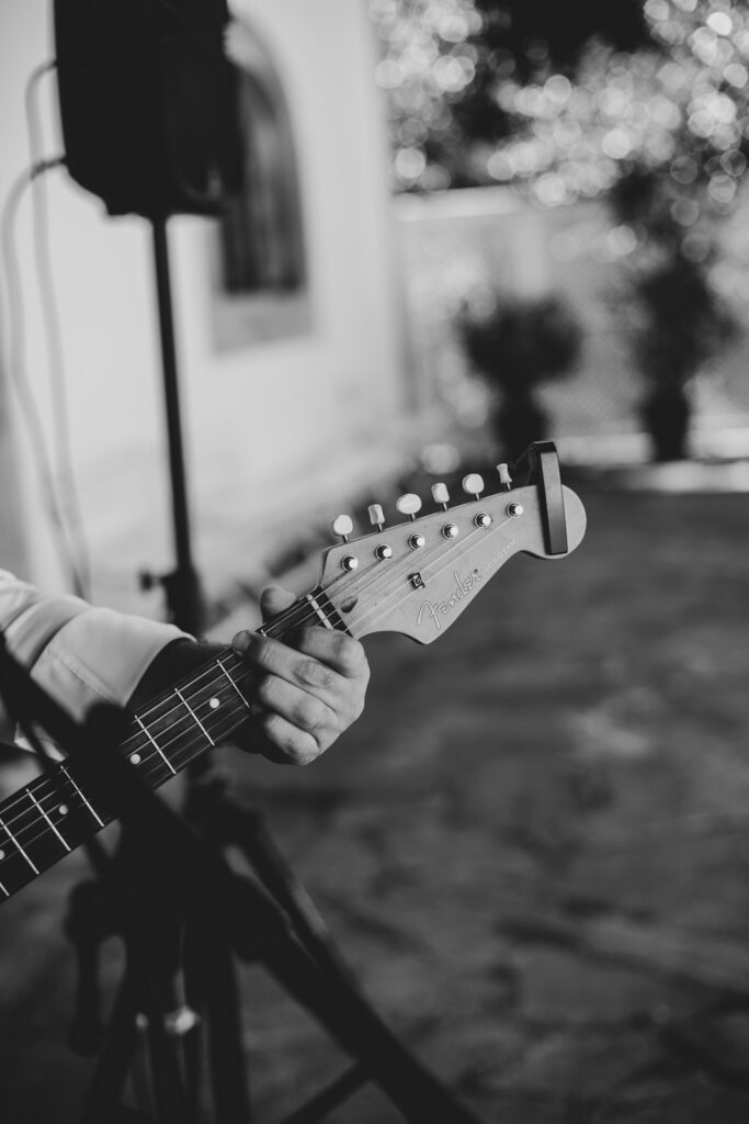 Boda-palacio-valdesoto-asturias musica en directo en un aperitivo de boda en oviedo