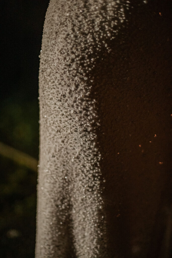 detalle de un vestido de novia con lentejuelas