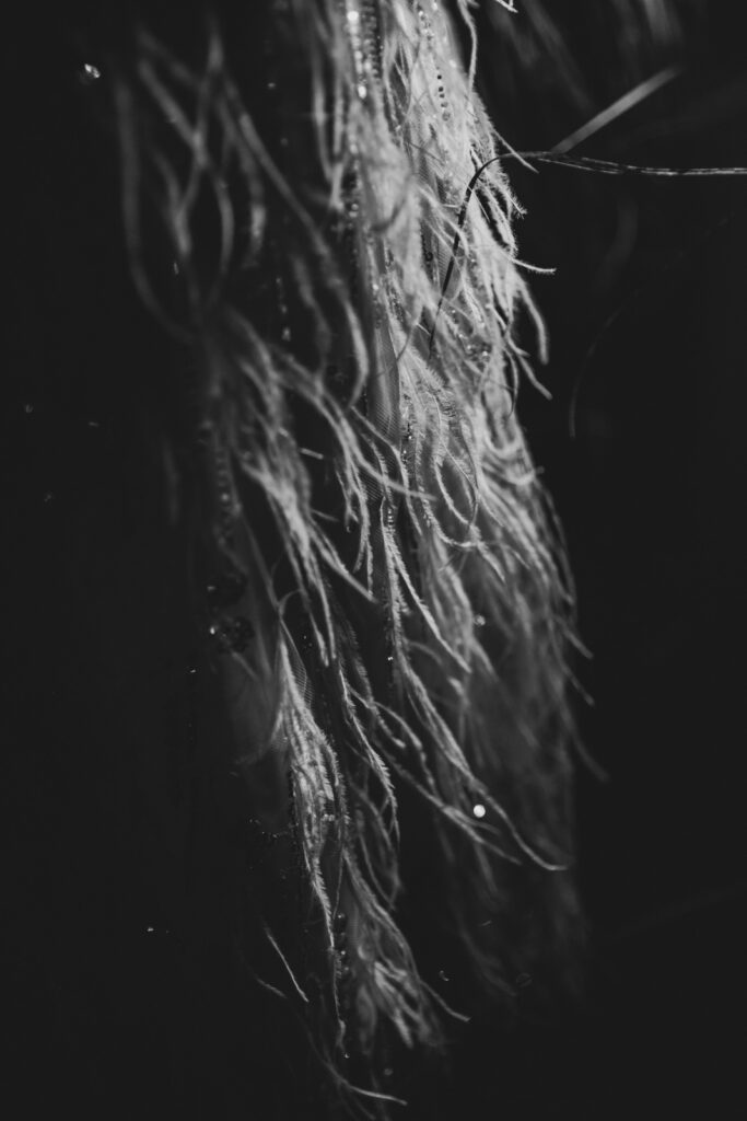 boda-palacio-luces-asturias segundo vestido de novia