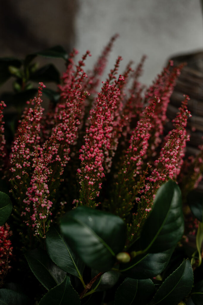 boda-palacio-luces-asturias decoracion de ceremonia en un boda