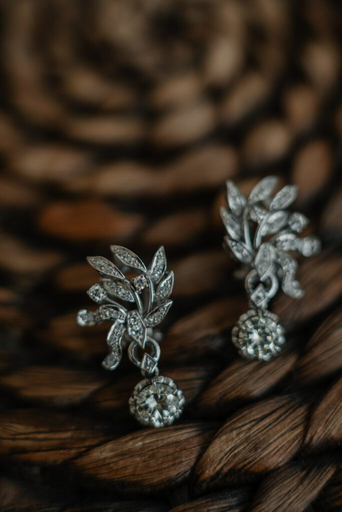 boda-palacio-luces-asturias pendientes de novia