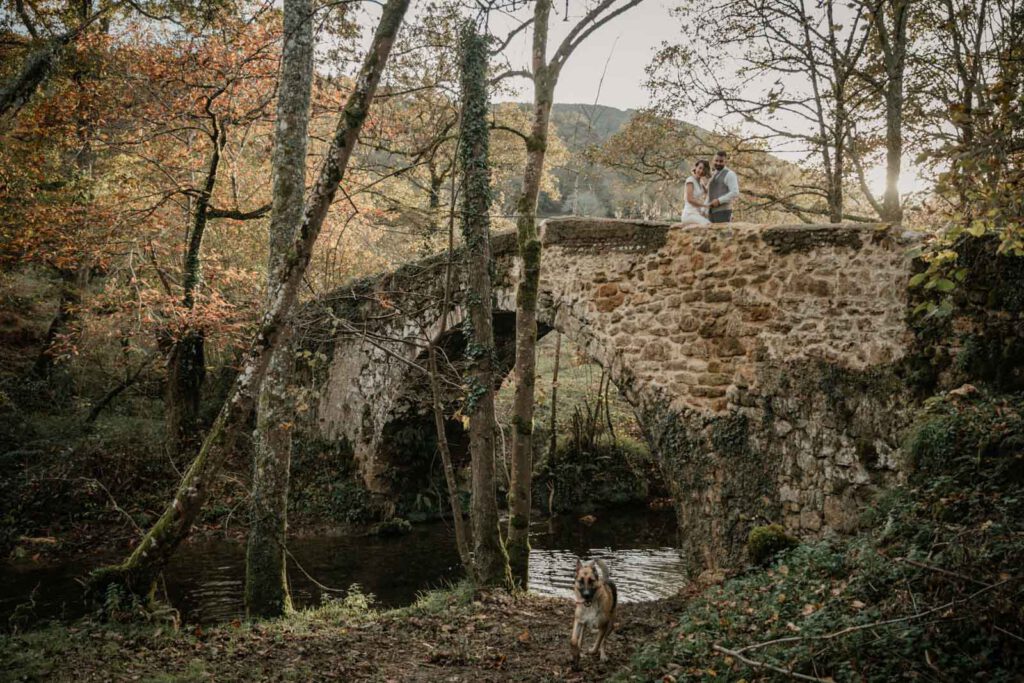 postboda-asturias-bosque boda con perro en un bosque en asturias
