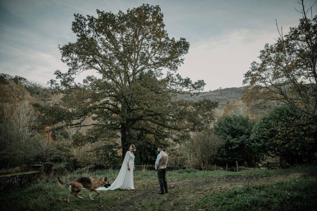 postboda-asturias-bosque boda con perro en un bosque en asturias