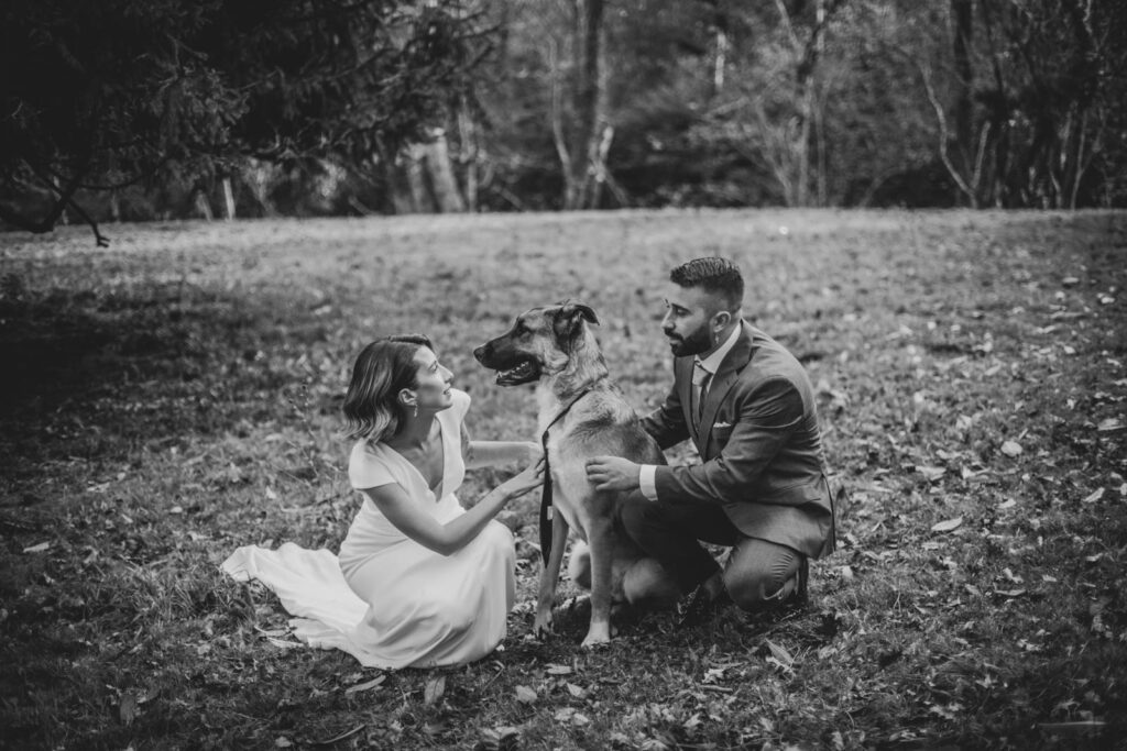 postboda-asturias-perro boda con perro en un bosque en asturias