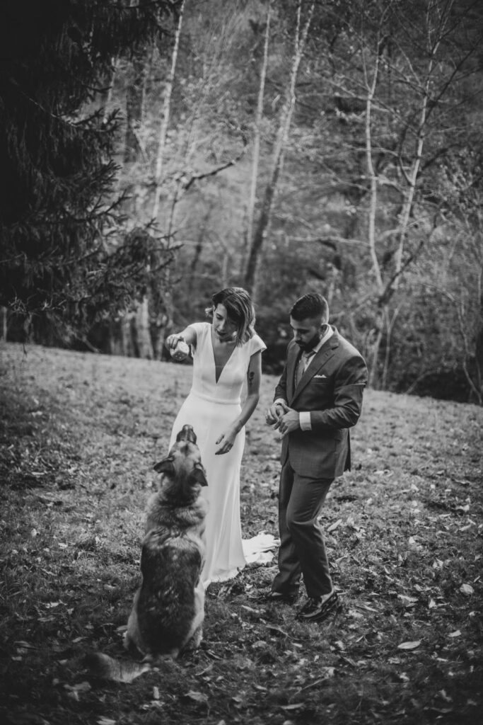 postboda-asturias-perro postboda con mascota en asturias
