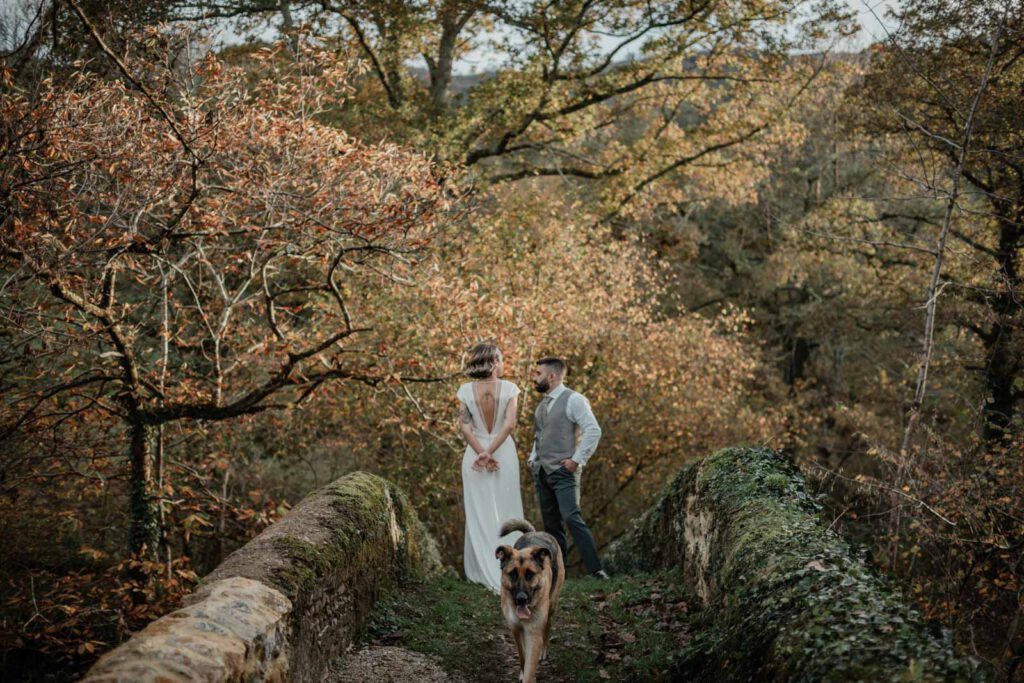 postboda-bosque postboda en asturias con perro